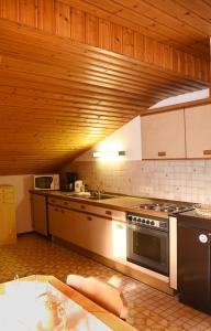A kitchen or kitchenette at Payrhof