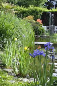 a garden with flowers and a pond with a fountain at Villa del Gusto in Bellinzona
