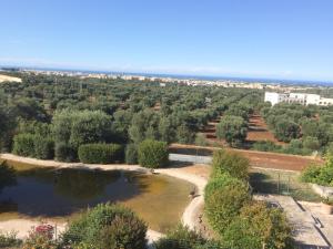 Táj Show holiday homes közelében