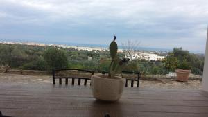 Táj Show holiday homes közelében