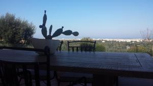 Táj Show holiday homes közelében