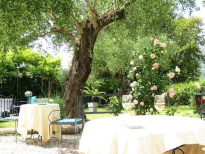 uma mesa colocada em frente a uma árvore em Hotel mon Soleil em La Gaude
