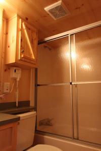 uma casa de banho com um chuveiro de aço inoxidável numa cozinha em Blackhawk RV Campground Loft Cabin 11 em Milton