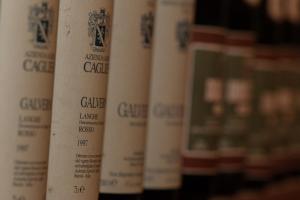 Imagen de la galería de Agriturismo Il Ciabot, en Barolo