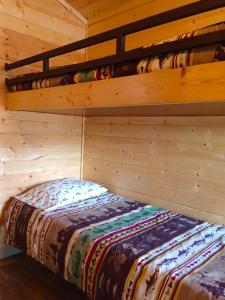 een slaapkamer met 2 stapelbedden in een hut bij Pio Pico Camping Resort Studio Cabin 7 in Jamul