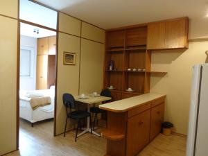 Kuchyň nebo kuchyňský kout v ubytování Residencial Genéve