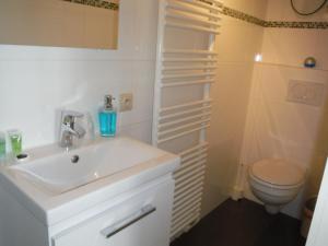 La salle de bains est pourvue d'un lavabo et de toilettes. dans l'établissement Residentie Royal Park, à Ostende