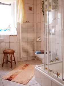 Siebers-Ferienwohnung في Saupsdorf: حمام مع مرحاض ودش زجاجي