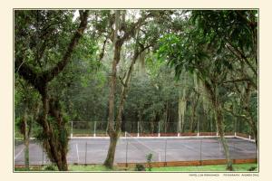 Attività di tennis o squash presso l'hotel o nelle vicinanze