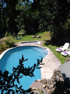 een zwembad met een stoel, een tafel en een gazon bij Celestial Inn in Pucón