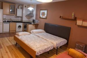 a large bed in a room with a kitchen at Ganbara in Puente la Reina