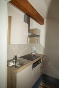 cocina con fregadero y encimera en Apartmenthaus Berdnik, en Kötschach-Mauthen