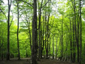 Фотография из галереи Hotel Rural Loizu в городе Бургете