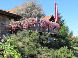Taman di luar Pension Dreiländerblick