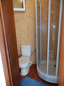 La salle de bains est pourvue d'une douche et de toilettes. dans l'établissement Apartments Esperanza, à Utjeha-Bušat