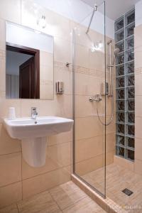 a bathroom with a sink and a glass shower at Hotel Lord Krosno in Krosno