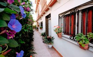 ガンディアにあるGandialco Playa de Gandiaの鉢植えの花の並木