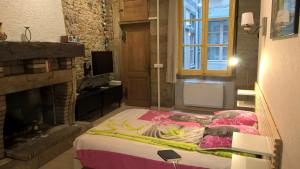 1 dormitorio con 1 cama y chimenea en Studio Charme et Confort aux Cordeliers, en Lyon