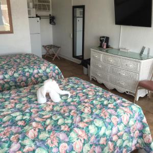 a teddy bear laying on a bed in a room at Pyramid Resort Motel in Wildwood Crest