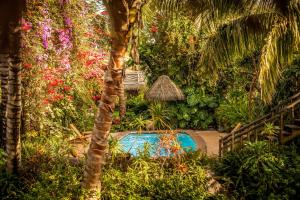 a swimming pool in a garden with trees and flowers at Hotel Manavai in Hanga Roa