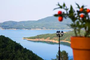 Φυσικό τοπίο κοντά σε αυτός ο ξενώνας