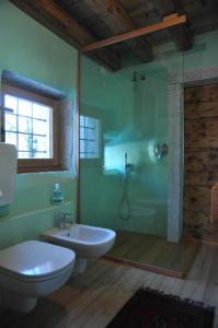 een badkamer met een toilet, een wastafel en een douche bij Casadelsale in Lusiana