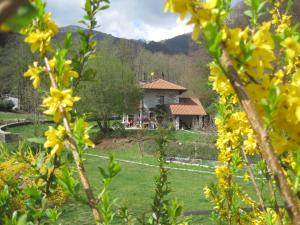 Príroda v okolí of the bed and breakfast