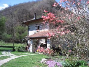 Príroda v okolí of the bed and breakfast