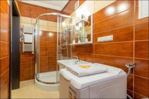 Kúpeľňa v ubytovaní P&O Apartments Freta