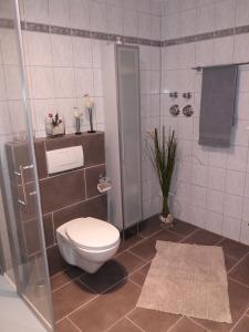 a bathroom with a toilet and a shower at Ferienwohnung Konen in Sankt Aldegund