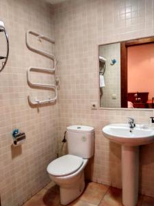a bathroom with a toilet and a sink at Camino de las Bardenas in Arguedas +19 photos