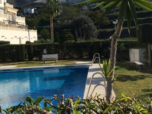 a swimming pool with a palm tree next to a building at Residentie Montesol in Torrox