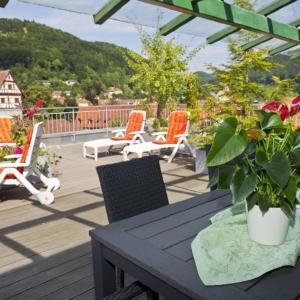 eine Terrasse mit Stühlen und einem Tisch mit Topfpflanze in der Unterkunft Hotel Buck in Bad Urach