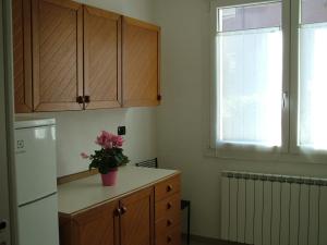 una cucina con un frigorifero e un bancone con una pianta sopra di San Teodoro Apartment a Mestre Altre 10 foto