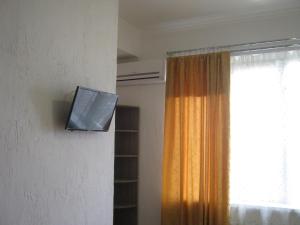 TV a/nebo společenská místnost v ubytování Apartments on Panteleimonovskaya