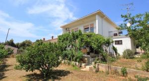 une maison blanche avec un arbre en face dans l'établissement House Paulina 1214, à Banjole