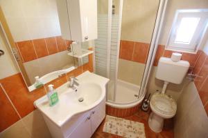 ein Bad mit einem Waschbecken, einer Dusche und einem WC in der Unterkunft Apartments Tina P in Vir