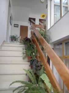 Fotografie z fotogalerie ubytování Apartmani Maretimo v Primoštenu