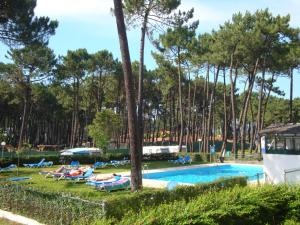 a swimming pool with lounge chairs and trees at Parque de Campismo Orbitur Viana do Castelo in Viana do Castelo