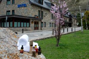 Una roca con botellas delante de un edificio. en Hotel Vilagaros, en Garós