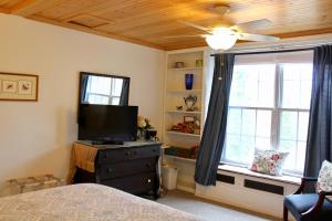 a bedroom with a bed and a tv and a window at Oakland Cottage Bed and Breakfast in Asheville