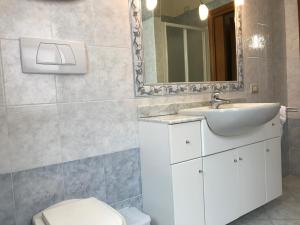 a bathroom with a sink and a toilet and a mirror at San Martino in Lazise +19 photos
