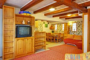 TV a/nebo společenská místnost v ubytování Kaktusz Villa Heviz