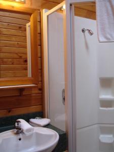 a bathroom with a white sink and a shower at Alpine Lodge in Saint Arnaud