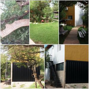 un collage de fotos con un árbol y un edificio en Samana Holiday en Carpintería