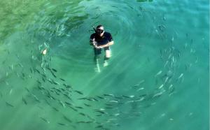 a man holding a camera in the water with fishes at Lochmara Lodge in Lochmara Bay