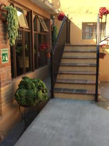Foto dalla galleria di Posada Quinta Alejandra a Bernal