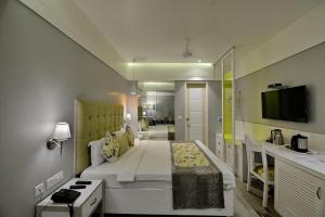 um quarto de hotel com uma cama grande e uma televisão em Hotel Emerald em Chandīgarh