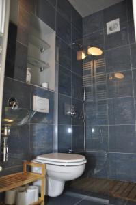 シビウにあるNext Door Apartmentのバスルーム(トイレ、ガラス張りのシャワー付)