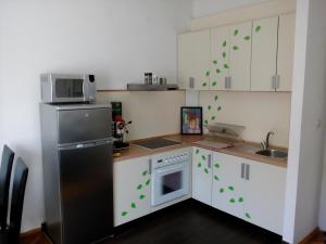 Кухня или мини-кухня в Apartment Garson
